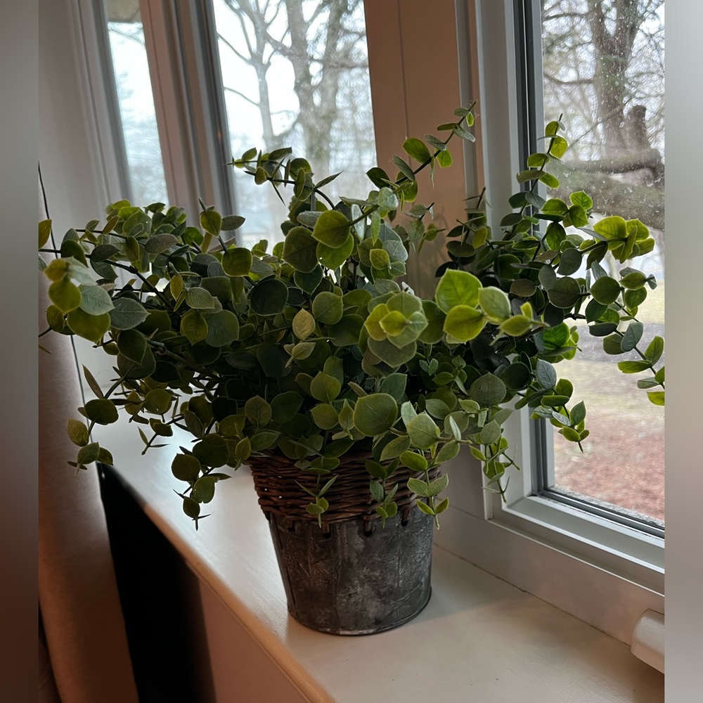 Fake eucalyptus plant decor